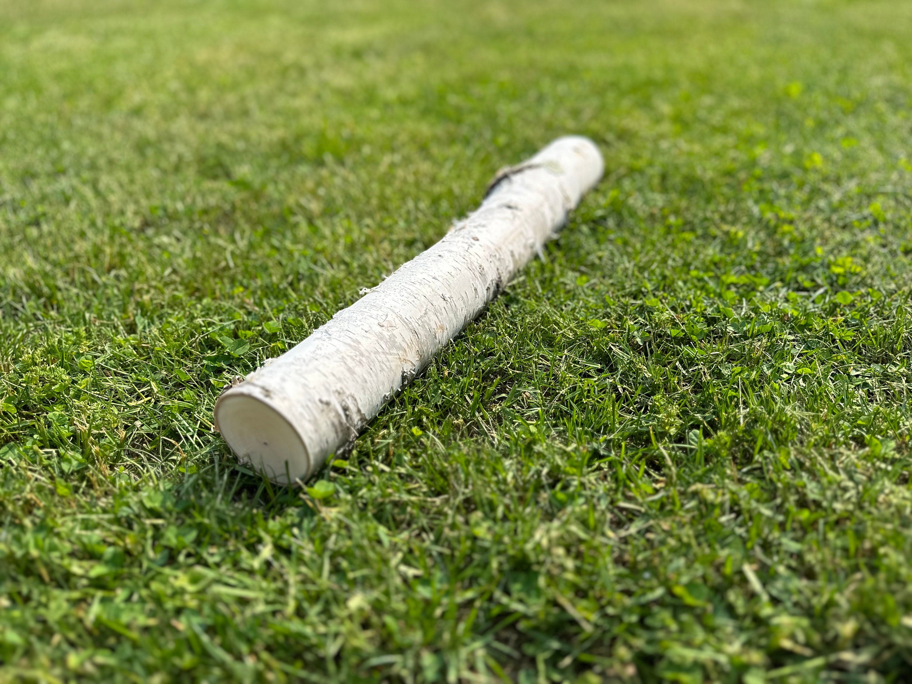 White Birch Log, Paper Birch, 20 Inches Long