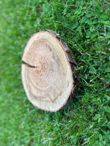 Cherry Wood Slice, One Count, Approximately 8.5 Inches Long by 7 Inches Wide and 1 Inch Thick