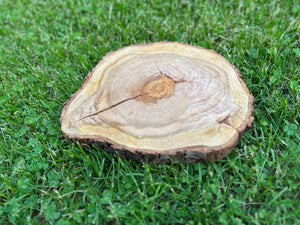Cherry Wood Slice, One Count, Approximately 10 Inches Long by 8.5 Inches Wide and 1 Inch Thick