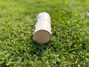 White Birch Log, Paper Birch, 6 Inches Long, Bundles Available