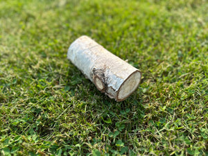 White Birch Log Seconds, Paper Birch, 6 Inches Long, Bundles Available