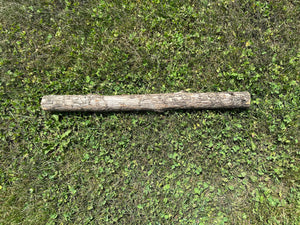 Ironwood Log, Hophornbeam, 24 Inches Long, Bundles Available