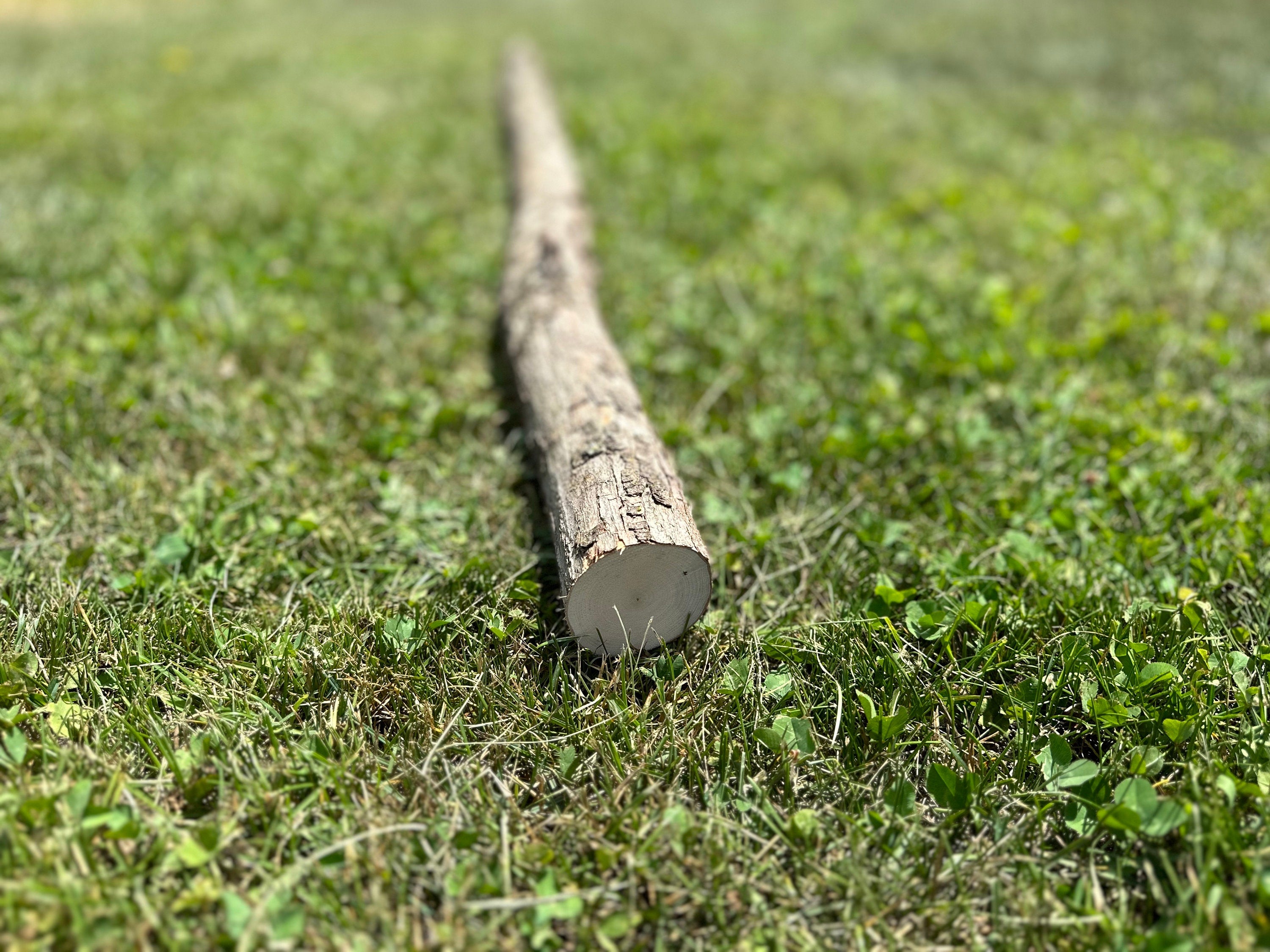 Ironwood Log, Walking Stick, Hophornbeam, 48 Inches Long