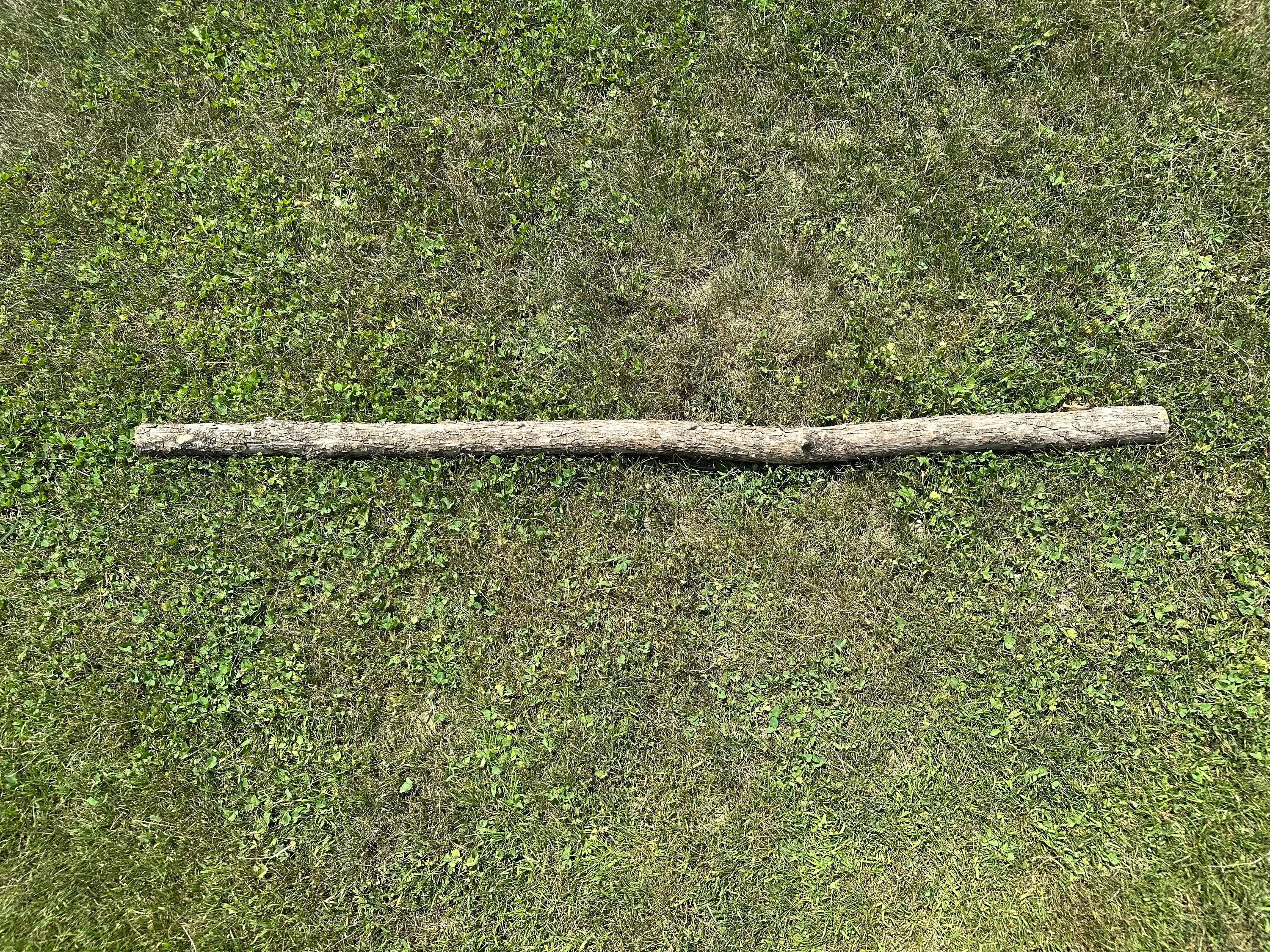 Ironwood Log, Walking Stick, Hophornbeam, 58 Inches Long