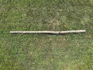 Ironwood Log, Ironwood Walking Stick, Hophornbeam, 72 Inches Long