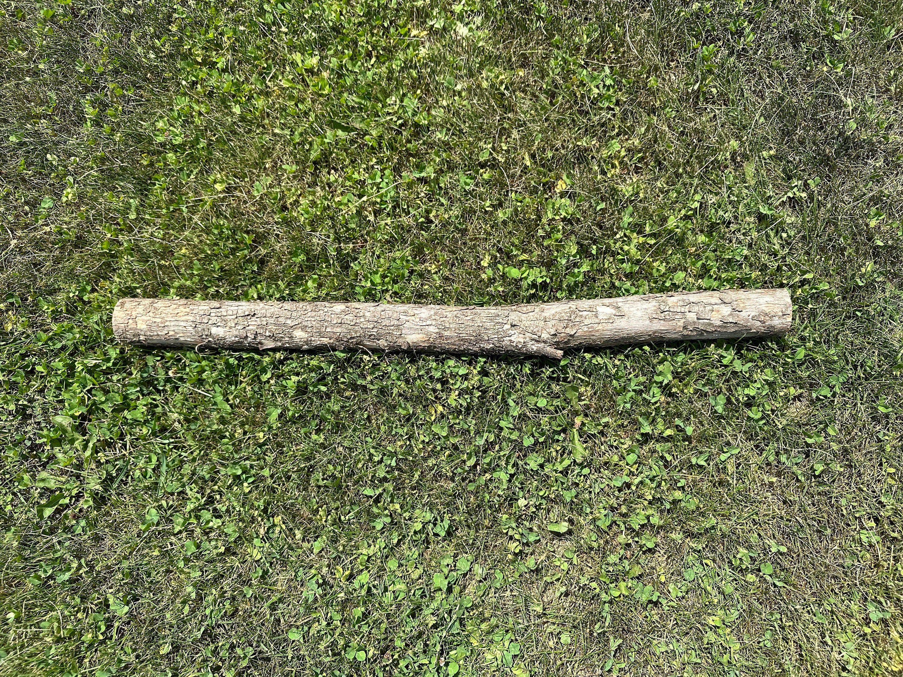 Ironwood Log, Walking Stick, Hophornbeam, 36 Inches Long