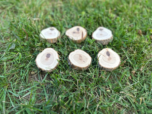 Hickory Slices, Wood Slices, Six Count, Approximately 2 Inches Long by 1.75 Inches Wide and 1/2 Inch Thick