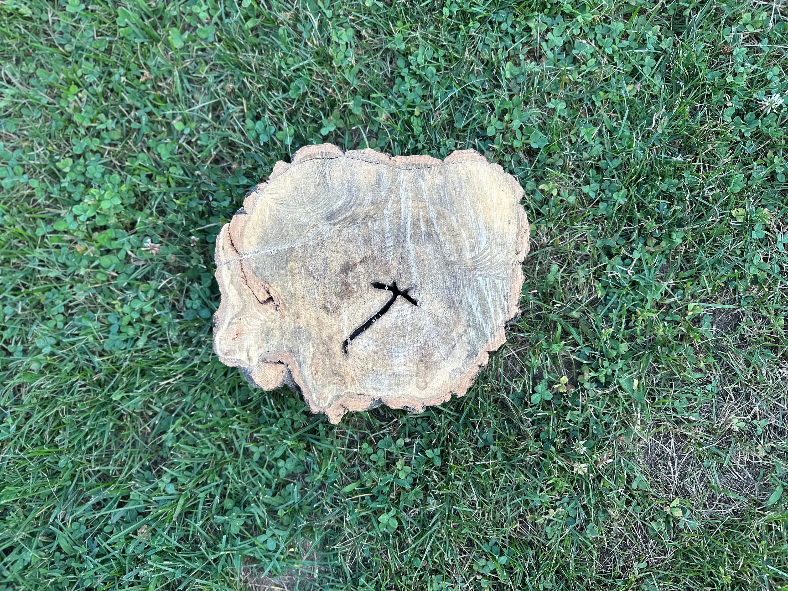 Aspen Burl Slice, Wood Slice with Cross, Slanted, Approximately 11.5 Inches Long by 9.5 Inches Wide and 2.5 Inches Thick