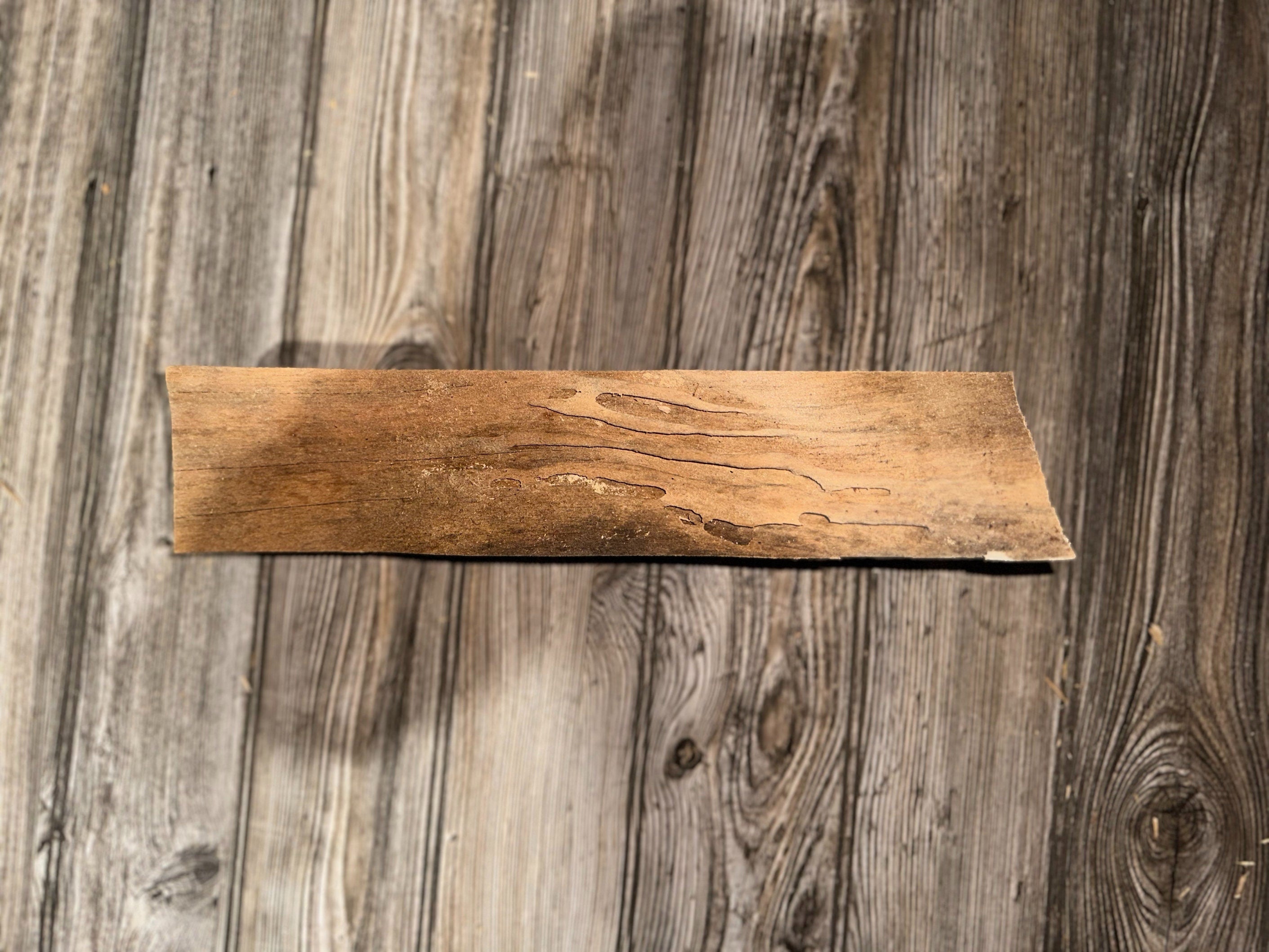 Tamarack Slab, Wood Slab, Approximately 14 Inches Long by 5.5 Inches Wide by 3 Inches Thick