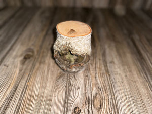 White Birch Log with Knot Hole, Paper Birch, 4.5 Inches Long by 3.5 Inches Wide and 3 Inches Tall