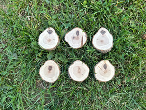 Hickory Slices, Wood Slices, Six Count, Approximately 2 Inches Long by 1.75 Inches Wide and 1/2 Inch Thick