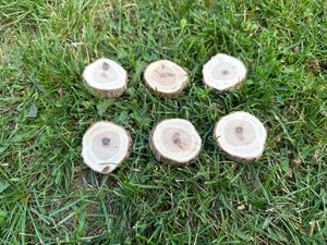 Hickory Slices, Wood Slices, Six Count, Approximately 2 Inches Long by 1.75 Inches Wide and 1/2 Inch Thick