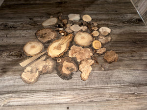 Burl Slices (Seconds), Random Assorted, Approximately One Pound, Sizes Vary