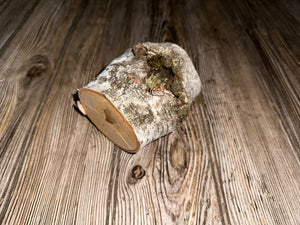 White Birch Log with Knot Hole, Paper Birch, 4.5 Inches Long by 3.5 Inches Wide and 3 Inches Tall