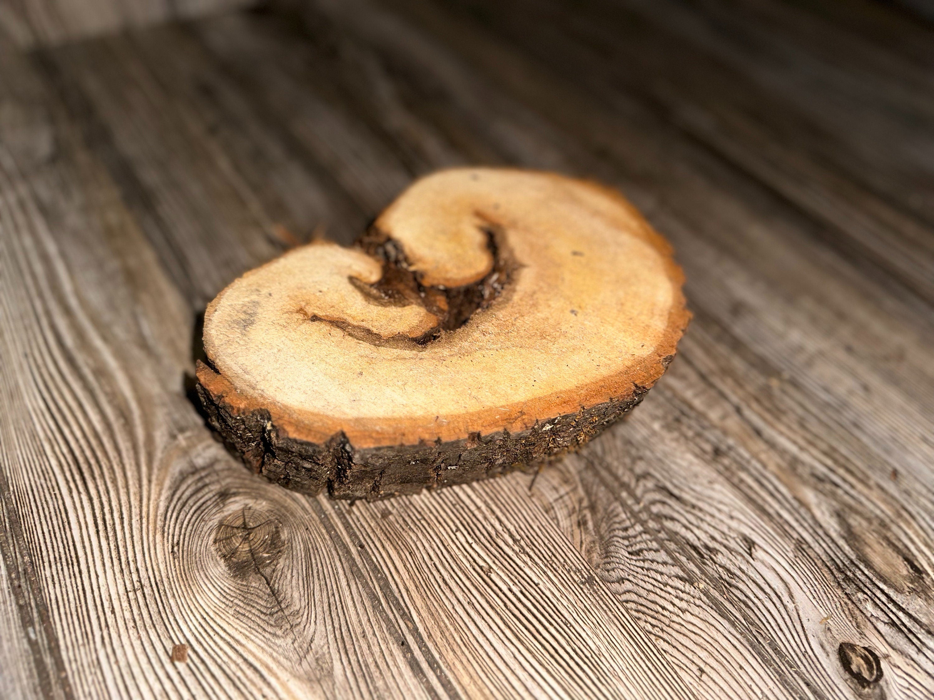 Aspen Burl Slice, Approximately 8 Inches Long by 6 Inches Wide and 2 Inches Thick