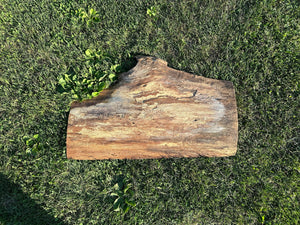 Wood Slab, Wooden Plank, Approximately 28 Inches Long by 18 Inches Wide and 1.5 Inches Tall