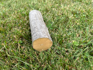 Musclewood Log, American Hornbeam, Ironwood, 6 Inches Long, Bundles Available