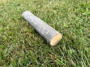 Musclewood Log, American Hornbeam, Ironwood, 9 Inches Long, Bundles Available