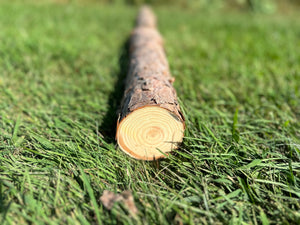 Red Pine Log, 48 Inches Long, Choose Diameter, Norway Pine