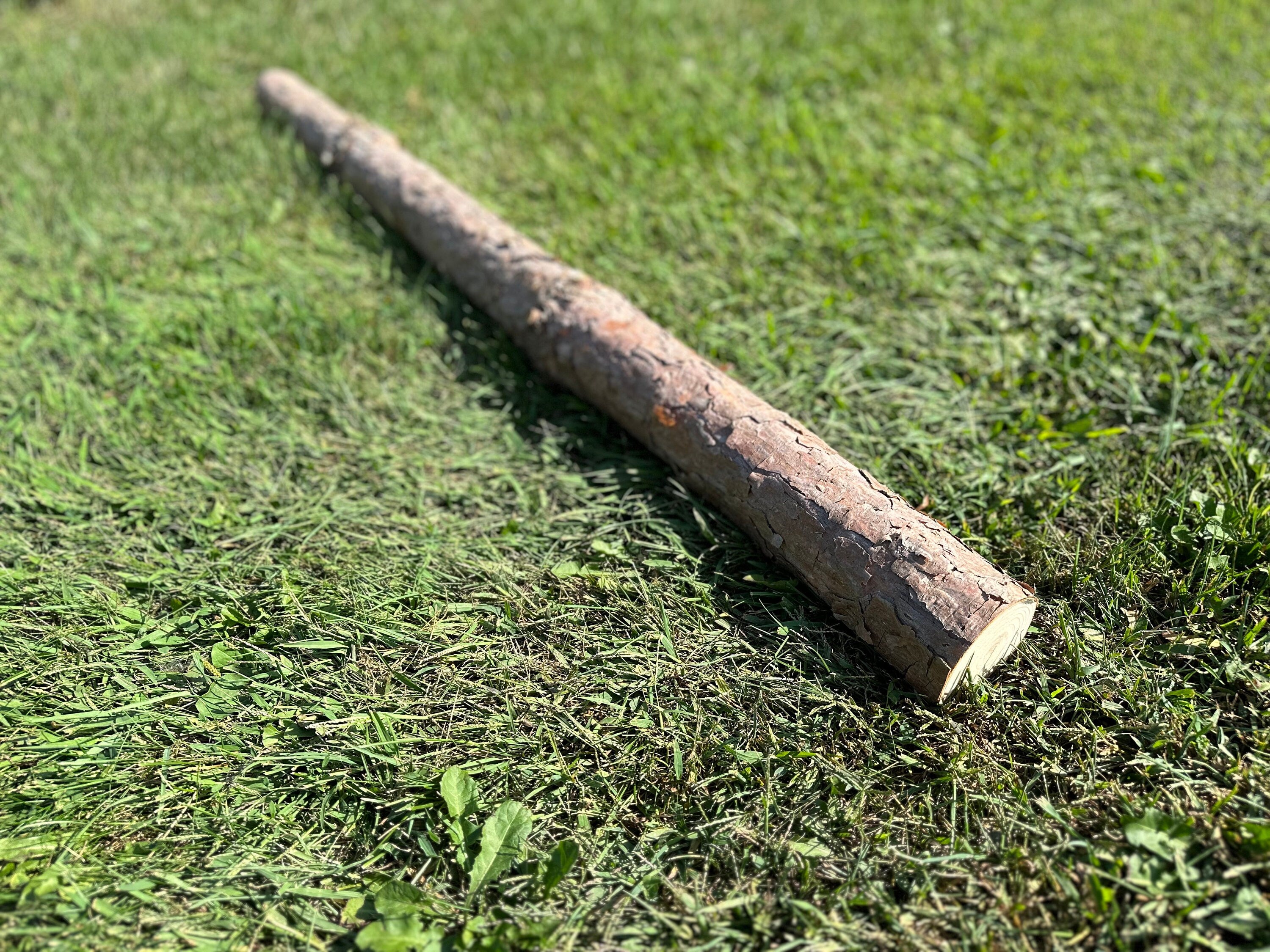 Red Pine Log, 48 Inches Long, Choose Diameter, Norway Pine