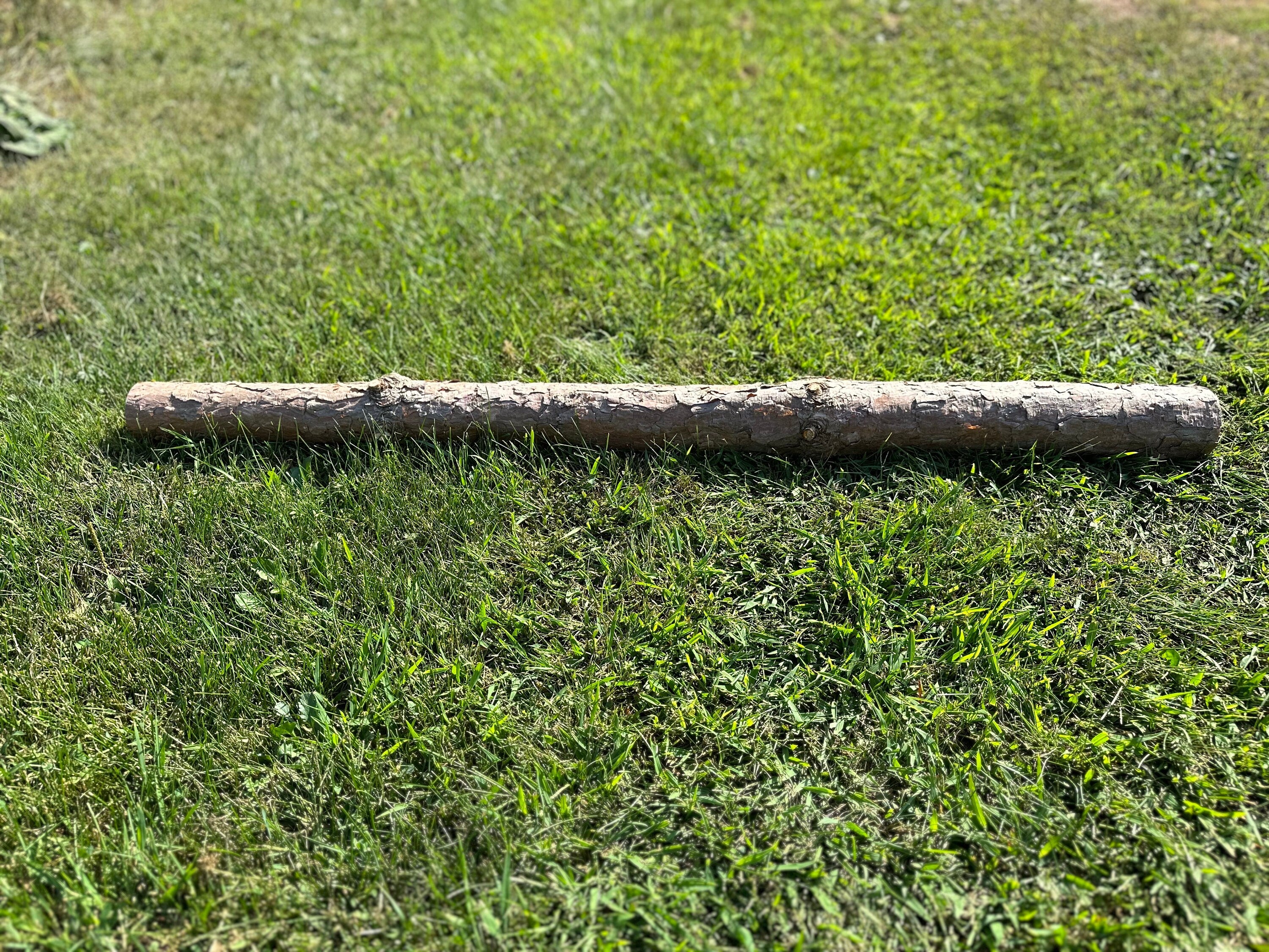 Red Pine Log, 48 Inches Long, Choose Diameter, Norway Pine