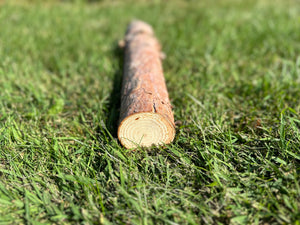 Red Pine Log, 16 Inches Long, Choose Diameter, Norway Pine