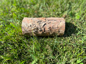 Red Pine Log, 6 Inches Long, Choose Diameter, Norway Pine