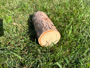 Red Pine Log, 6 Inches Long, Choose Diameter, Norway Pine