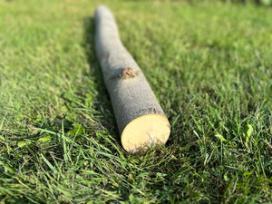 Maple Log, 36 Inches Long, Choose Diameter, Maple Wood, Maple Tree, Lathe