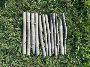 Maple Sticks, 12 Count, 12 Inches Long with Diameters Between 1/2-1 Inch