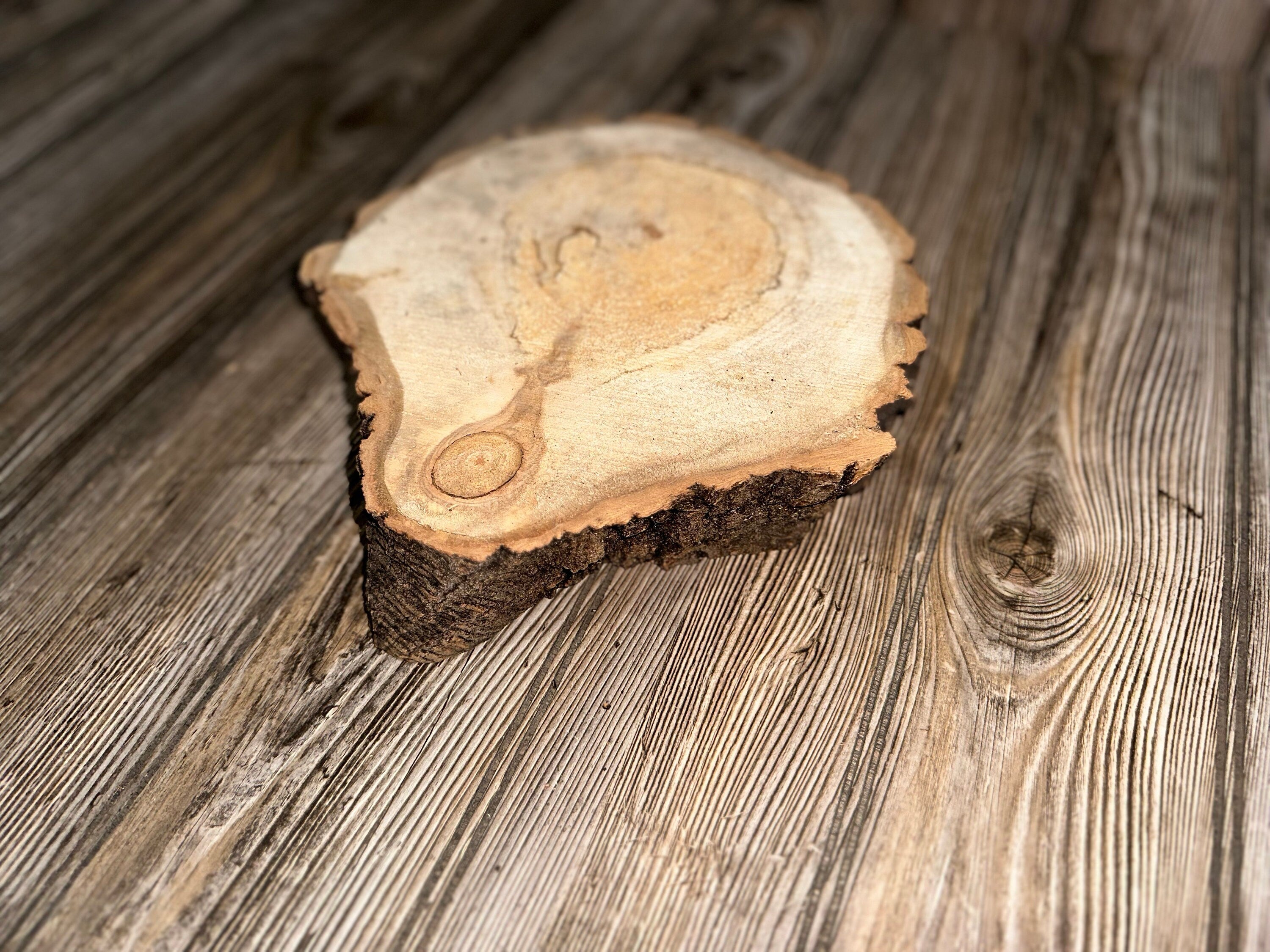 Aspen Slice, Approximately 10 Inches Long by 9 Inches Wide and 2 Inches Thick