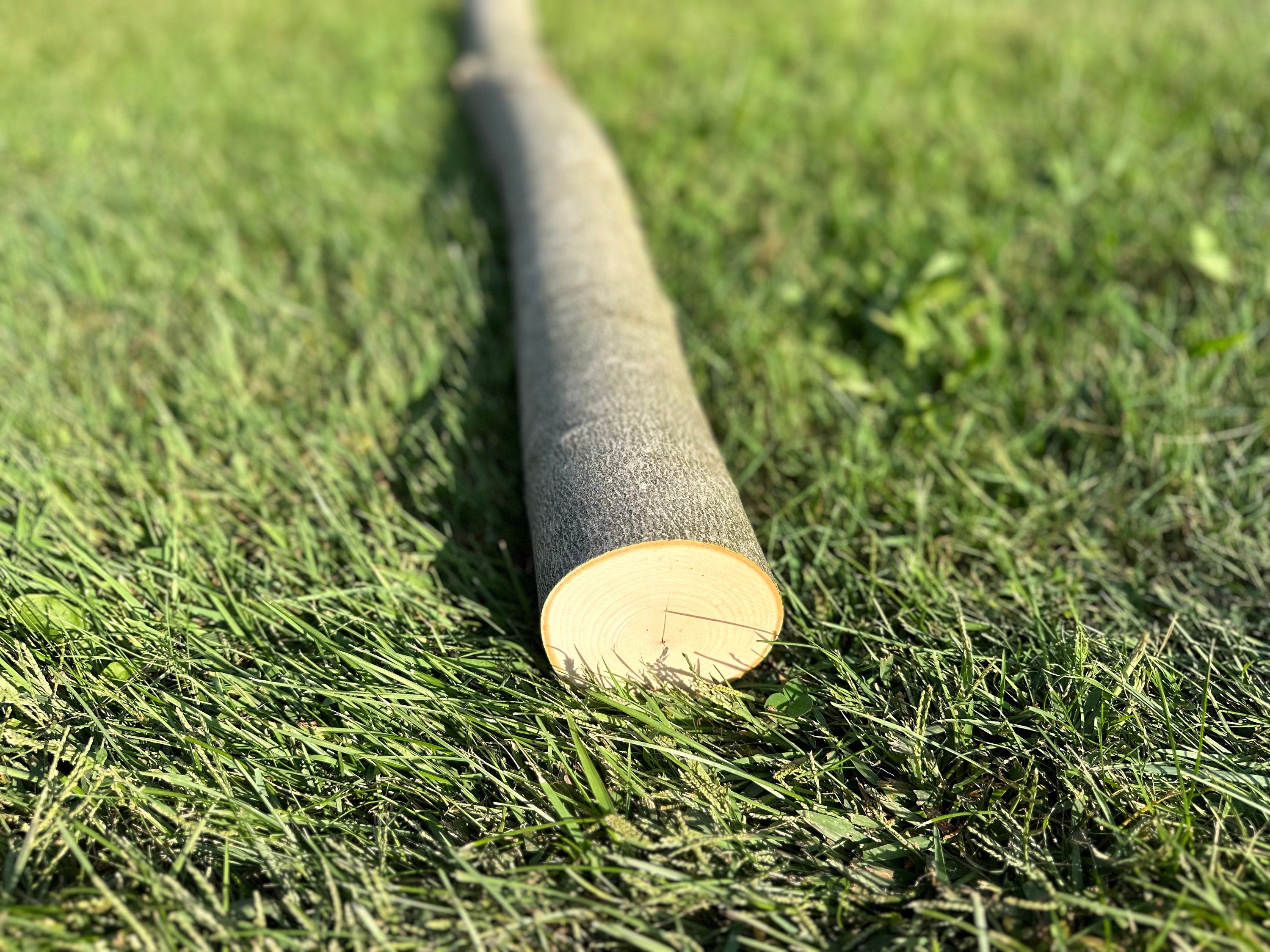 Maple Log, 48 Inches Long, Choose Diameter, Maple Wood, Maple Tree, Lathe