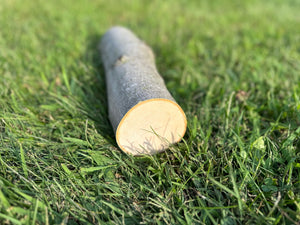 Maple Log, 12 Inches Long, Choose Diameter, Maple Wood, Maple Tree