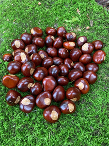 Chestnuts/Buckeyes, 50 count