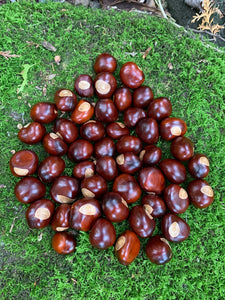 Chestnuts/Buckeyes, 50 count