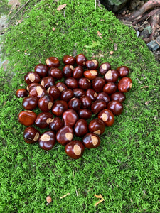 Chestnuts/Buckeyes, 50 count