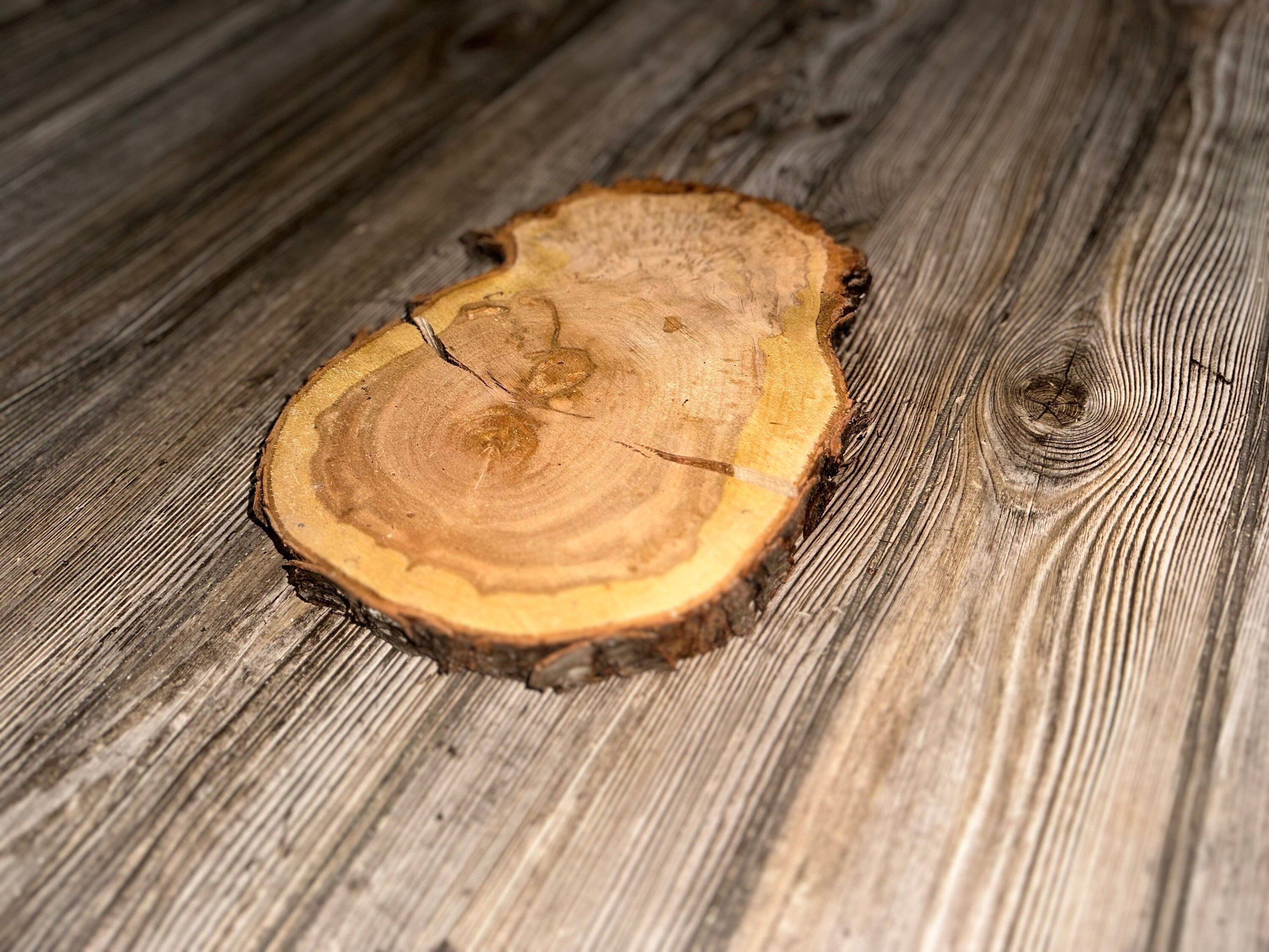 Single Cherry Burl Slice, Approximately 9.5 Inches Long by 7.5 Inches Wide and 1 Inch Thick
