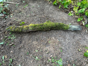 Mossy Log, Real Moss on Log, 27 Inches Long by 3 Inches Wide and 2 Inches High