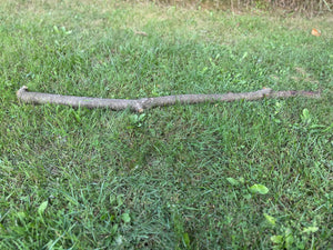 Cherry Log, 36 Inches Long, Choose Diameter, Black Cherry, American Cherry, Prunus Serotina