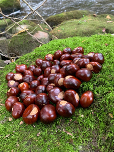 Chestnuts/Buckeyes, 50 count