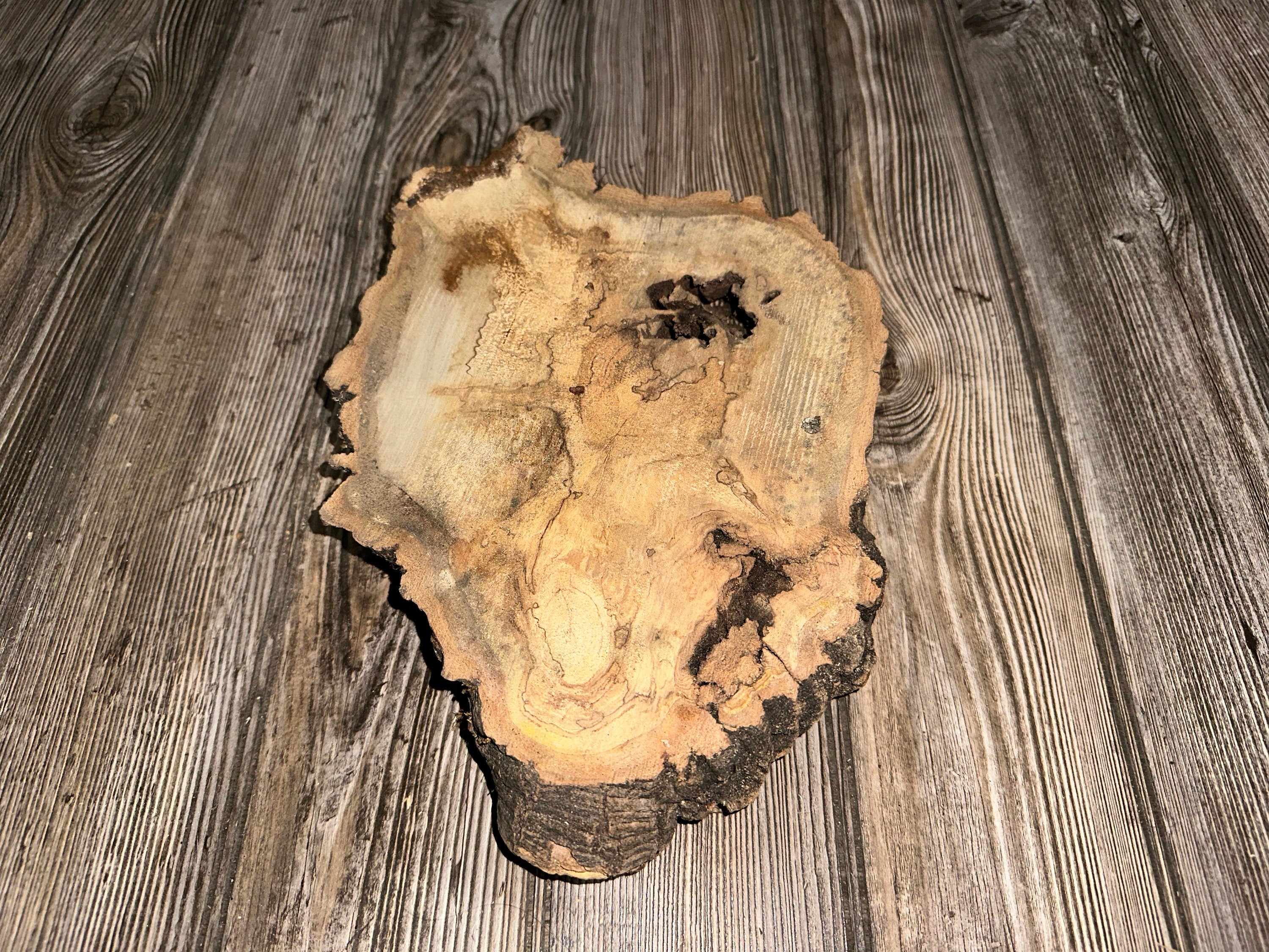 Hickory Burl Slice, Approximately 12 Inches Long by 8 Inches Wide and 2 Inch Thick