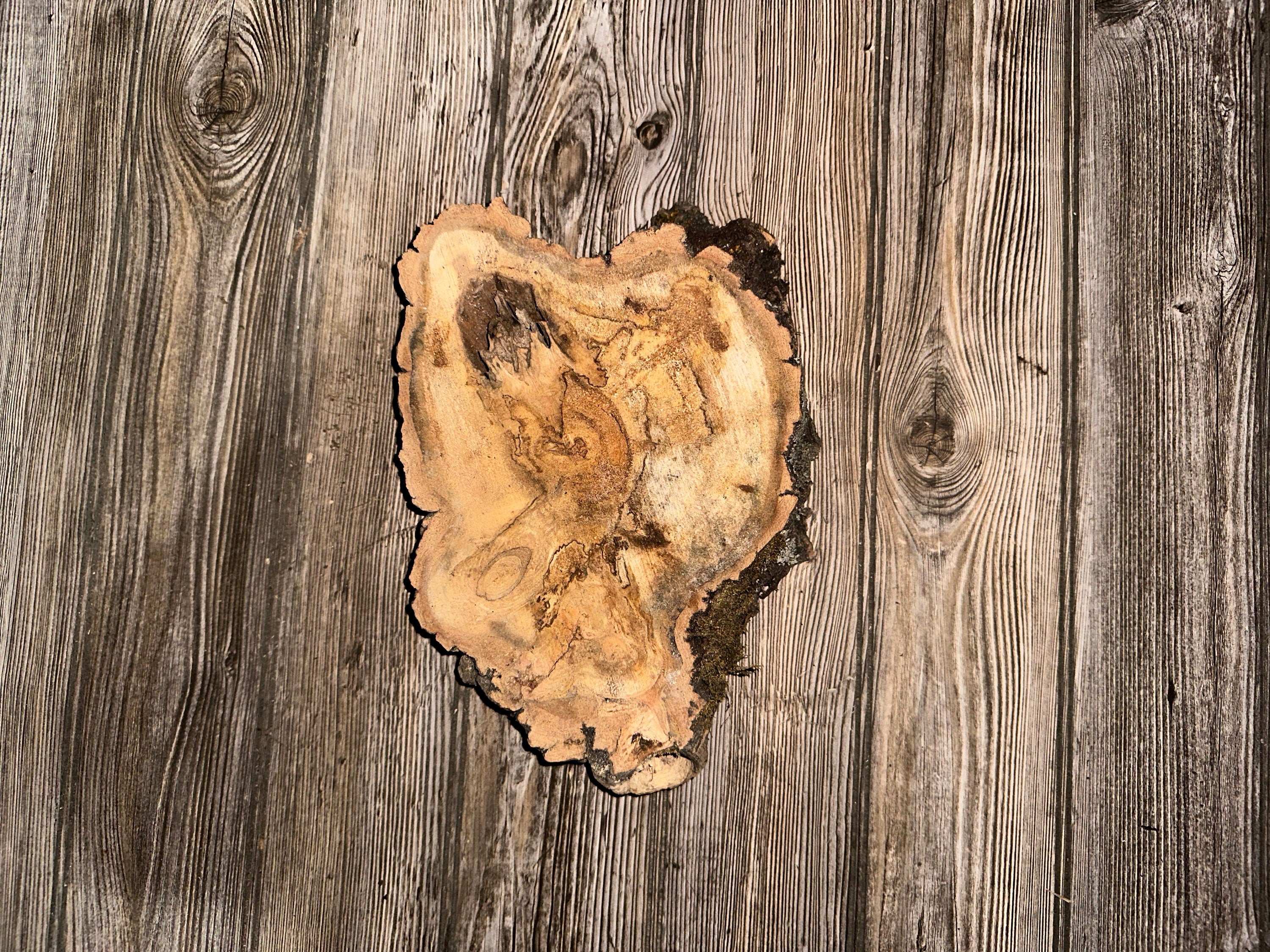 Hickory Burl Slice, Approximately 12 Inches Long by 8 Inches Wide and 2 Inch Thick