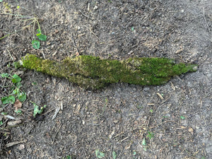 Moss Covered Bark, Mossy Bark, Approximately 17.5 Inches Long by 3 Inches Wide and 1/2 Inch High