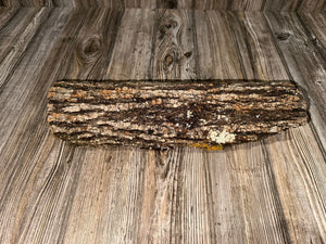Aspen Turtle Tunnel, Approximately 15.5 Inches Long by 4 Inches Wide and 3 Inches High