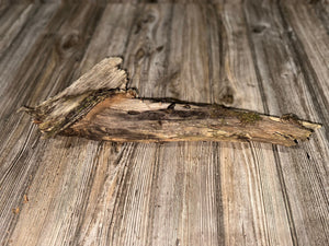 Tree Limb, Branch End, Driftwood, Approximately 20 Inches Long by 6 Inches Wide and 4 Inches Tall