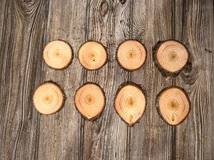 Eight Tamarack Slices, Approximately 3-4 Inches In Length by 3 Inches Wide and 1/2 Inch Thick