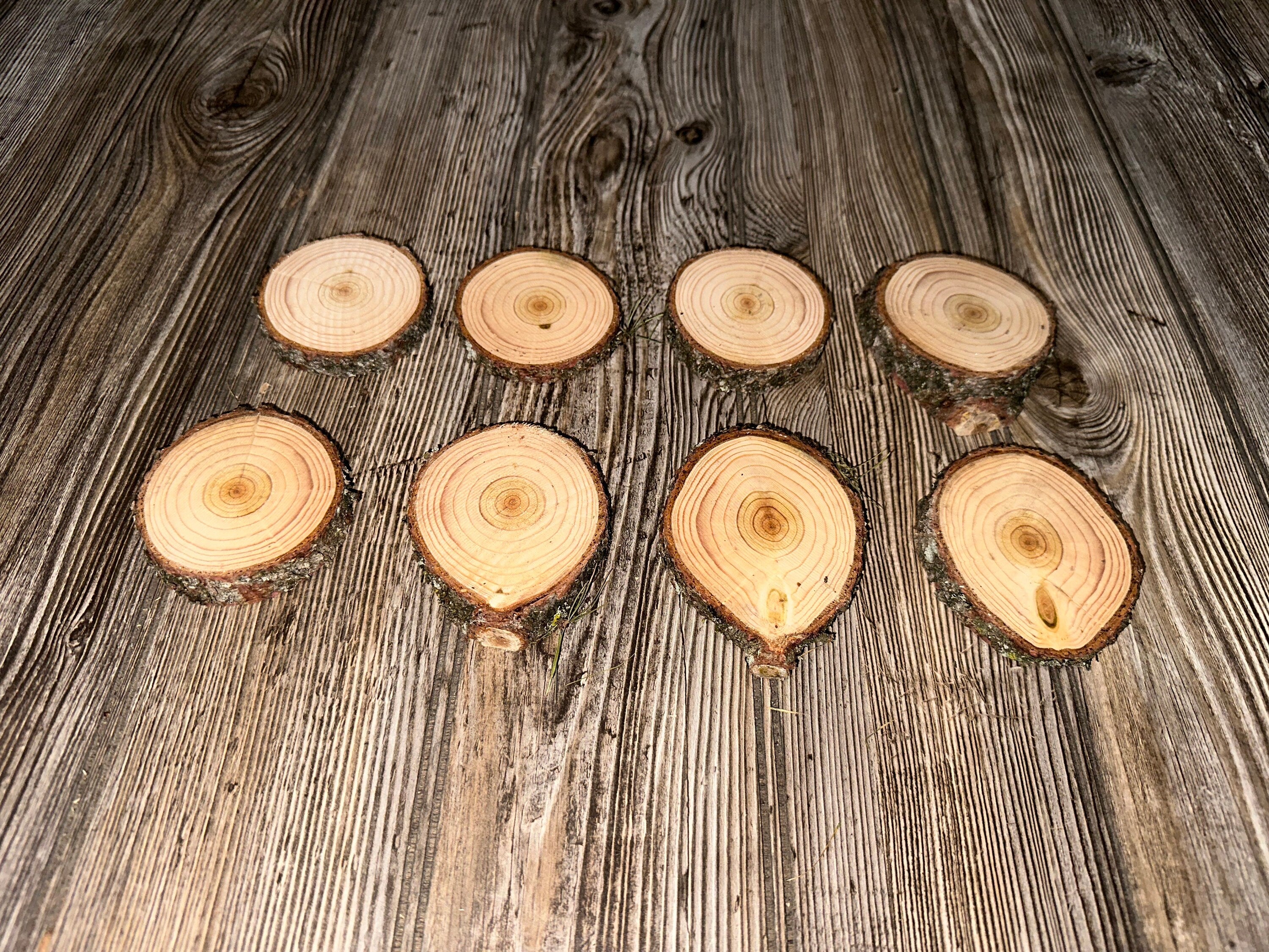 Eight Tamarack Slices, Approximately 3-4 Inches In Length by 3 Inches Wide and 1/2 Inch Thick