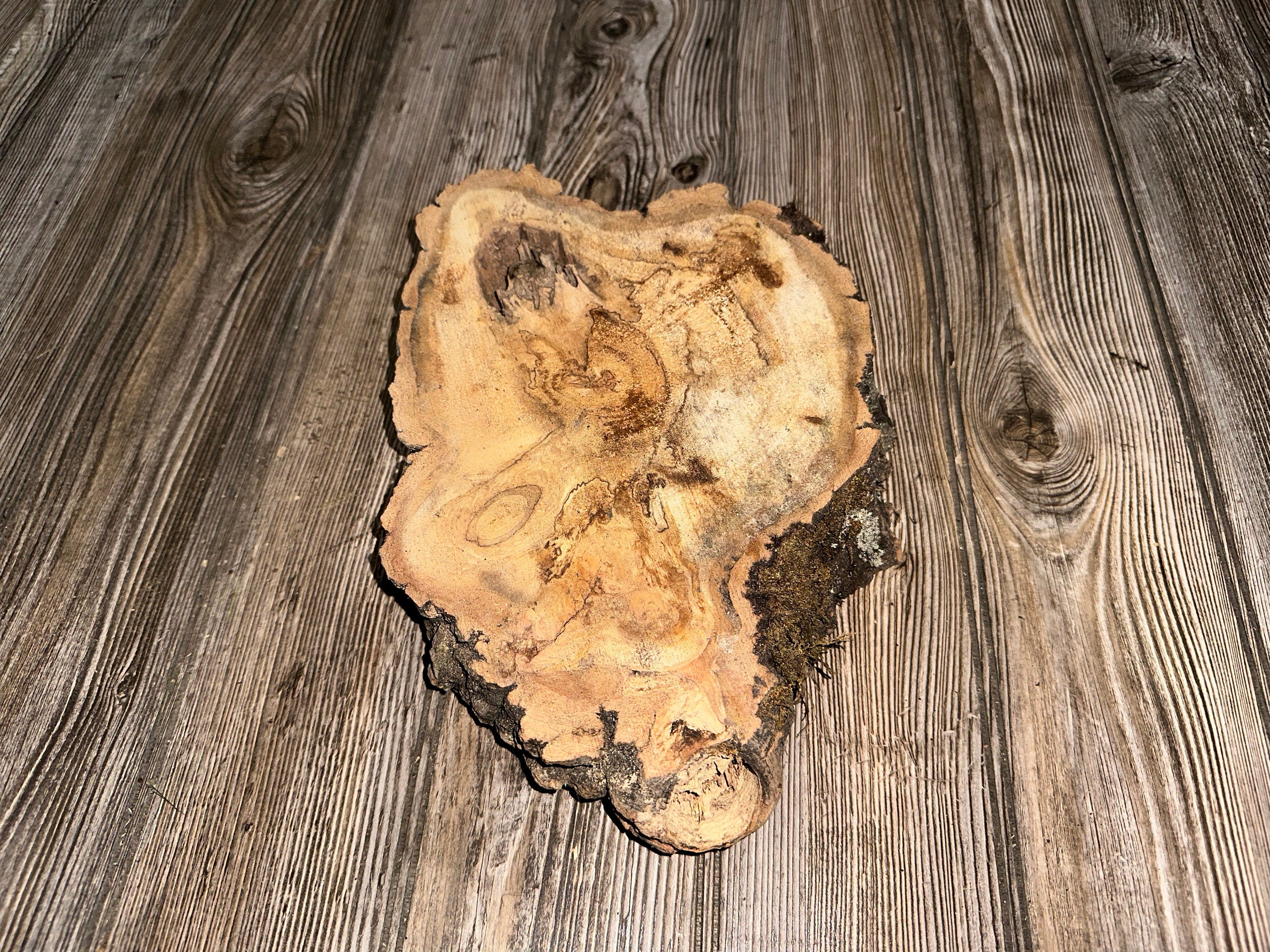 Hickory Burl Slice, Approximately 12 Inches Long by 8 Inches Wide and 2 Inch Thick