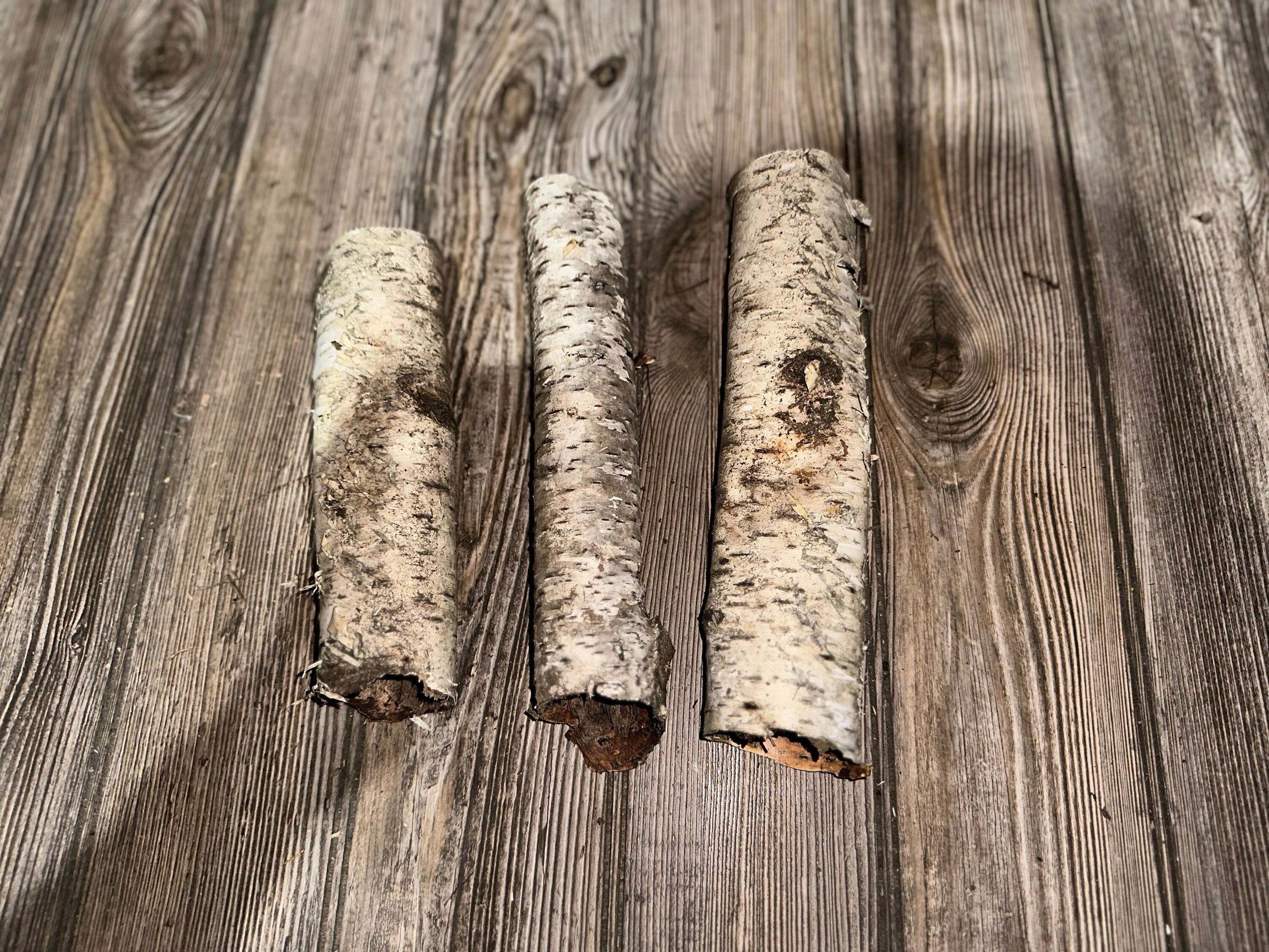 Three White Birch Bark Tubes, Approximately 8-9 Inches Long by 2 Inches Wide and 1.5 Inches High