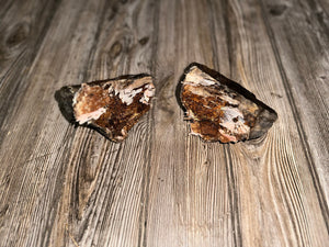 Two Polypores, Conks, 2 Count, Approximately 4.5 Inches Long by 3 Inches Wide and 3 Inches Tall